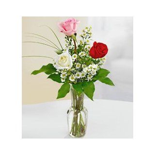 Flowers by 1800Flowers   Love's Embrace Roses   3 Stem Assorted Roses  Fresh Cut Format Rose Flowers  Grocery & Gourmet Food