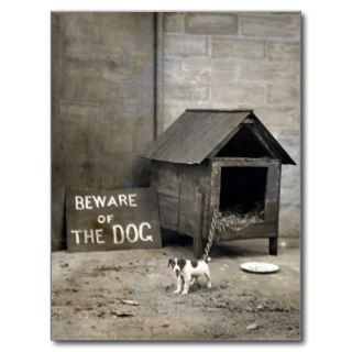 Funny Dog postards Post Card