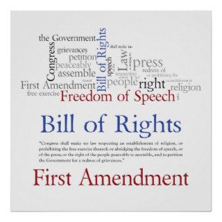First Amendment Rights   Freedom of Speech Posters