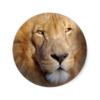 Lion Images Sticker