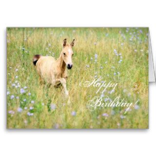 Horse Foal Birthday Card