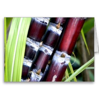 I Love Sugarcane 我愛甘蔗 Greeting Cards