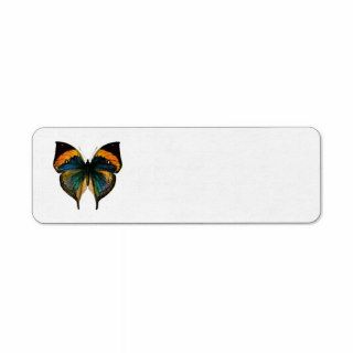 Vintage Butterfly   1800's Antique Butterfly Litho Return Address Labels
