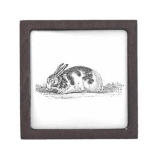 Vintage Bunny Rabbit Illustration   1800's Rabbits Premium Trinket Boxes