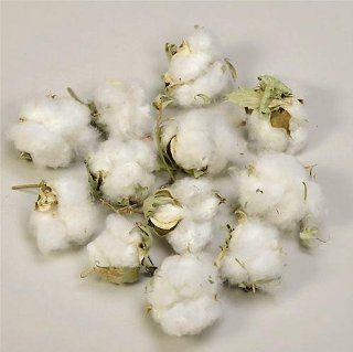 Cotton Bolls   Artificial Flowers