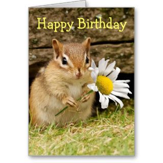 Adorable Baby Chipmunk with Daisy   Happy Birthday Greeting Cards
