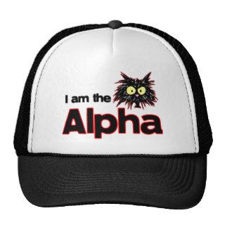 Alpha Cat Hats