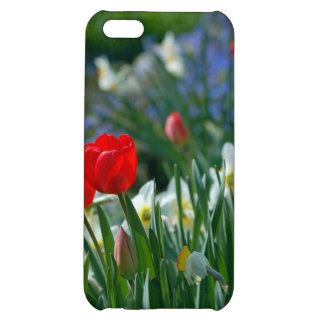 Flowers in May iPhone 5C Cover