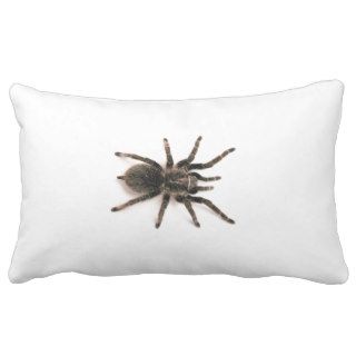 Tarantula Spider Throw Pillow