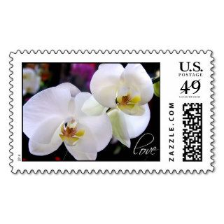 Orchids Love Wedding Flower Postage Stamps