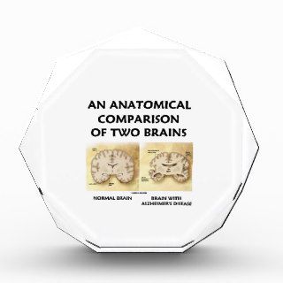 An Anatomical Comparison Of Two Brains Alzheimers Awards