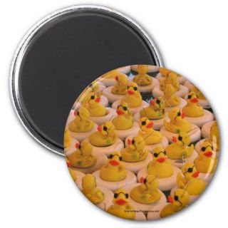 Yellow Rubber Ducks Funny Magnet