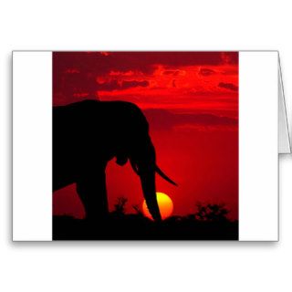 Elephant Sunrise Greeting Cards