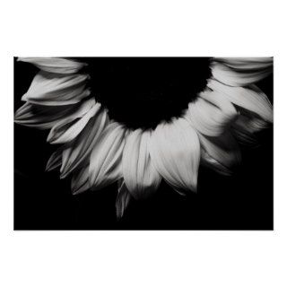 Sunflower Black and White Print