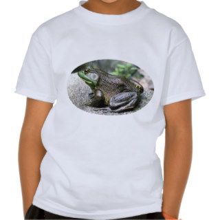 Big Ole Bullfrog Nature T Shirt