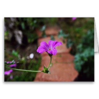 Lavender Flower Greeting Card