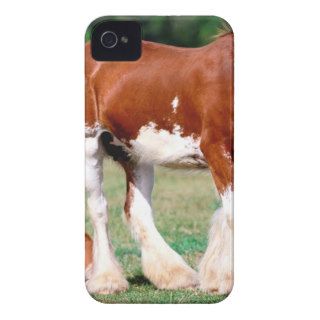 Horse Strength Clydesdale Mare And Foal iPhone 4 Cover