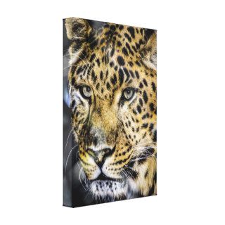 A Leopard's Eyes Gallery Wrap Canvas