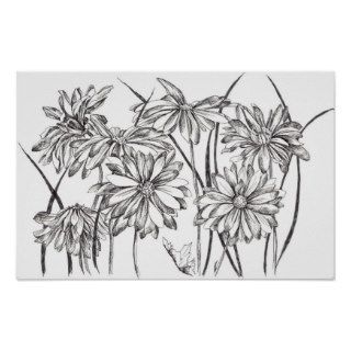 Black and White Daisy Flower Garden Drawing Print