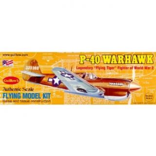 Curtiss P 40 Warhawk Toys & Games