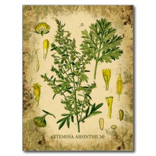 Absinthe Botanical Collage Post Cards