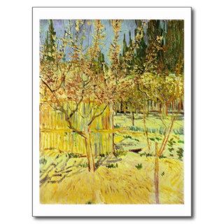 Apricot Trees in Blossom, Vincent van Gogh Post Cards