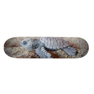 turtle skateboard decks