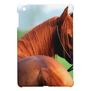 Horse Heres Looking At You Kid Arabian iPad Mini Covers