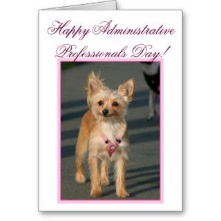 Administrative Professionals Day chihuahua card