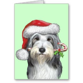 Christmas With Jazz The Bearded Collie Greeting Card