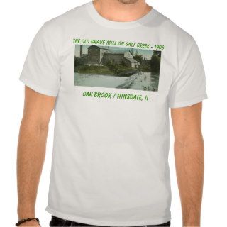 The Old Mill, The Old Graue Mill on Salt CreekT Shirts