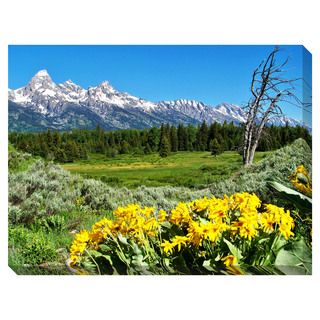 Grand Teton Wild Flowers Oversized Gallery Wrapped Canvas Canvas