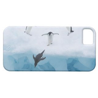 Penguins Jumping into Water iPhone 5 Cover