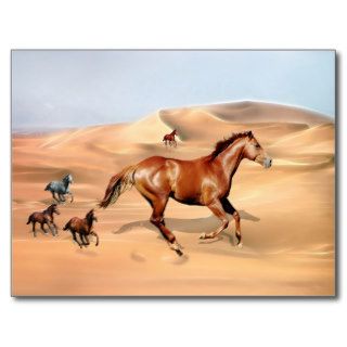 Wild horses and sand dunes post cards