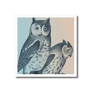 3dRose ht_110518_3 Two Owls Vintage Art Birds Iron on Heat Transfer for White Material, 10 by 10 Inch