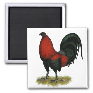 American Game BB Black Red Rooster Magnets
