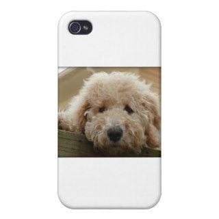 Lab a doodle gifts iPhone 4 case