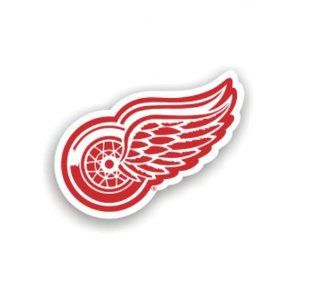 NHL Detroit Red Wings 8'' Team Logo Car Magnet  Sports Related Tailgater Mats  Sports & Outdoors