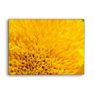 Yellow Sunflower Greeting Card Envelopes Flowers