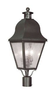 Livex Lighting 2556 07 Outdoor Post with Seeded Glass Shades, Bronze    