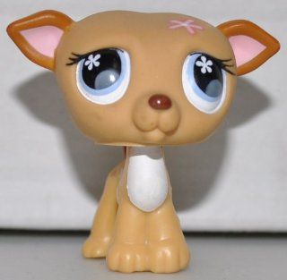 Greyhound #498 (Tan, Blue Eyed, Pink Flower on Head) Littlest Pet Shop (Retired) Collector Toy   LPS Collectible Replacement Single Figure   Loose (OOP Out of Package & Print) 
