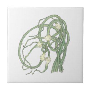 Garlic Scapes (Allium sativa) Tile