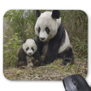 Panda Bear Momma with Cub Mouse Pad