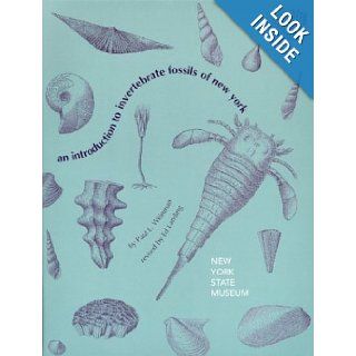 An Introduction to Invertebrate Fossils of New York Paul L. Weinman, Ed Landing 9781555571443 Books