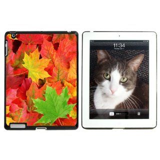Fall Leaves on Ground   Snap On Hard Protective Case for Apple iPad 2 2nd 3 3rd 4 4th (New) generations   Black Electronics