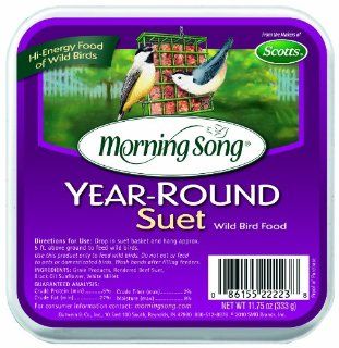 Morning Song 1022223 Year Round Suet Wild Bird Food, 11 3/4 Ounce  Suet Bird Feed  Patio, Lawn & Garden
