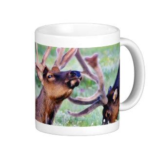 Elk Horns Coffee Mugs