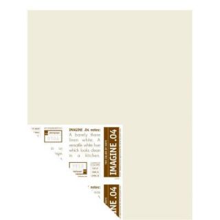 YOLO Colorhouse 12 in. x 16 in. Imagine .04 Pre Painted Big Chip Sample 222441