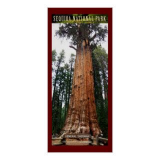 Sequoia General Sherman Poster