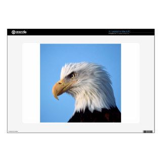Eagle Looking Ahead Laptop Decals